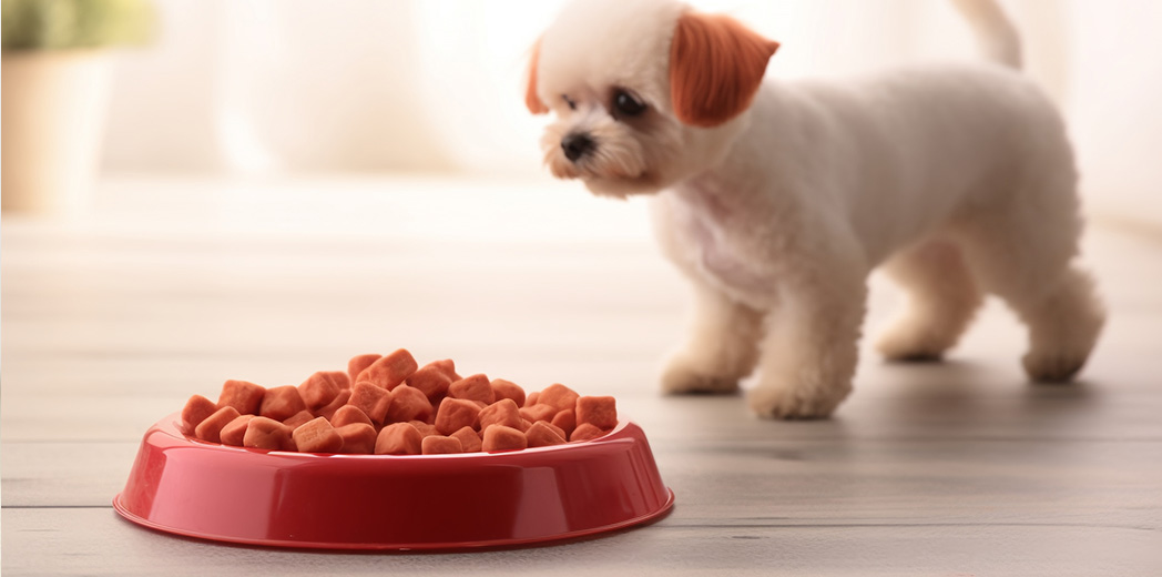 Dry food