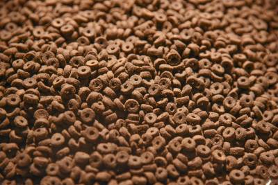 Gastrointestinal