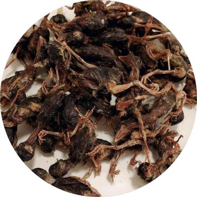 Freeze-dried   quail